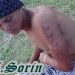 A.Sorin