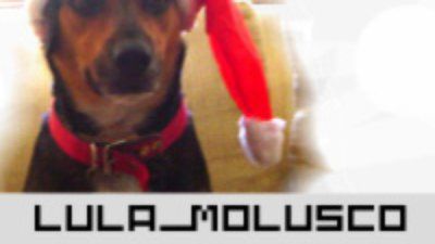 lula_molusco
