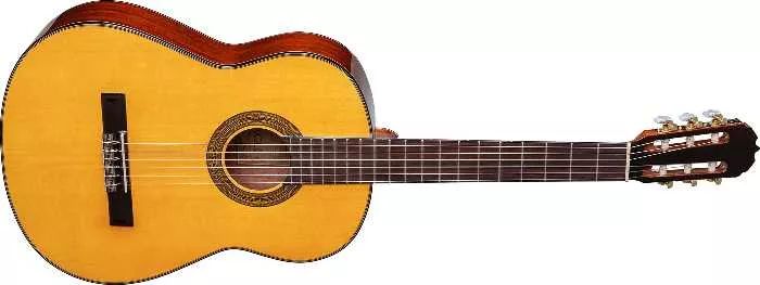 El modelo de guitarra Eagle DH69 