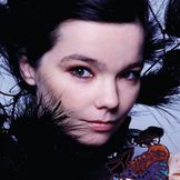 Imagen del artista Björk