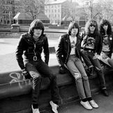 Imagen del artista Ramones