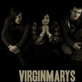 Imagem do artista The Virginmarys