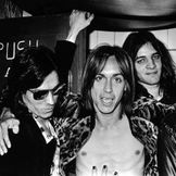 Imagem do artista The Stooges