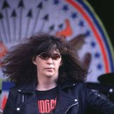 Imagen del artista Joey Ramone