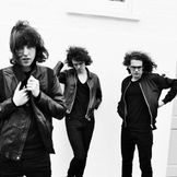 Imagem do artista Catfish And The Bottlemen