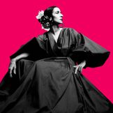 Imagen del artista Marisa Monte