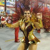 Imagem do artista G.R.E.S. Acadêmicos do Salgueiro (RJ)