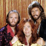 Imagem do artista Bee Gees