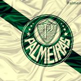 Imagem do artista Palmeiras