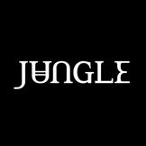 Imagen del artista Jungle