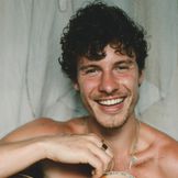 Artist's image Shawn Mendes