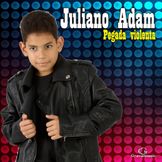 Imagem do artista Juliano Adam