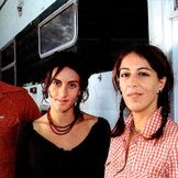 Artist's image The Waifs