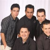 Imagen del artista Grupo Chamamento