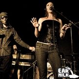 Imagen del artista Easy Star All Stars