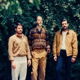 Imagen del artista Technicolor Fabrics