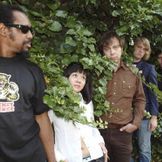 Imagen del artista The Dirtbombs