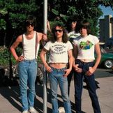 Imagen del artista Ramones