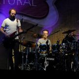 Imagem do artista Os Paralamas do Sucesso