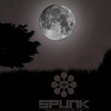 Imagen del artista Spunk