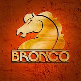 Imagen del artista Bronco