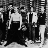 Artist image Oingo Boingo