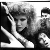 Imagen del artista The Cramps