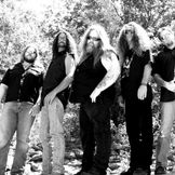 Artist's image Texas Hippie Coalition