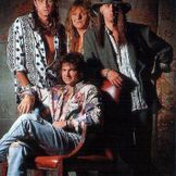 Imagen del artista Roko