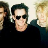 Imagem do artista Skinny Puppy