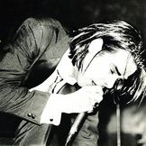 Artist image Nick Cave