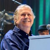 Imagen del artista Brian Wilson