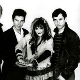 Imagen del artista X The Band