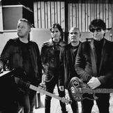 Imagem do artista The Chameleons