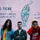 Imagem do artista Jacuzzi Boys