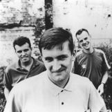 Imagem do artista The Housemartins