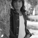 Artist's image David Cassidy