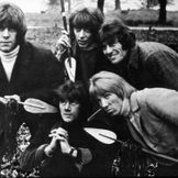 Imagem do artista Dave, Dee, Dozy, Beaky, Mick & Tich
