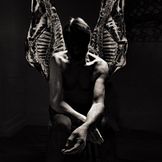 Imagen del artista Suede
