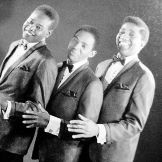 Imagen del artista The Elgins