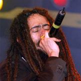 Imagen del artista Damian Marley