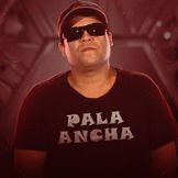 Imagen del artista Pala Ancha