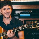 Artist image Niall Horan