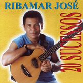 Imagem do artista Ribamar Jose