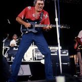 Imagen del artista Carl Perkins