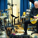 Imagem do artista David Gilmour