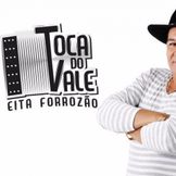 Imagem do artista Toca do Vale