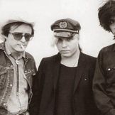 Imagem do artista The Gun Club