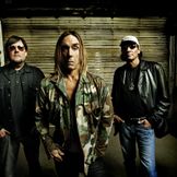 Imagen del artista The Stooges