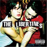 Imagem do artista The Libertines